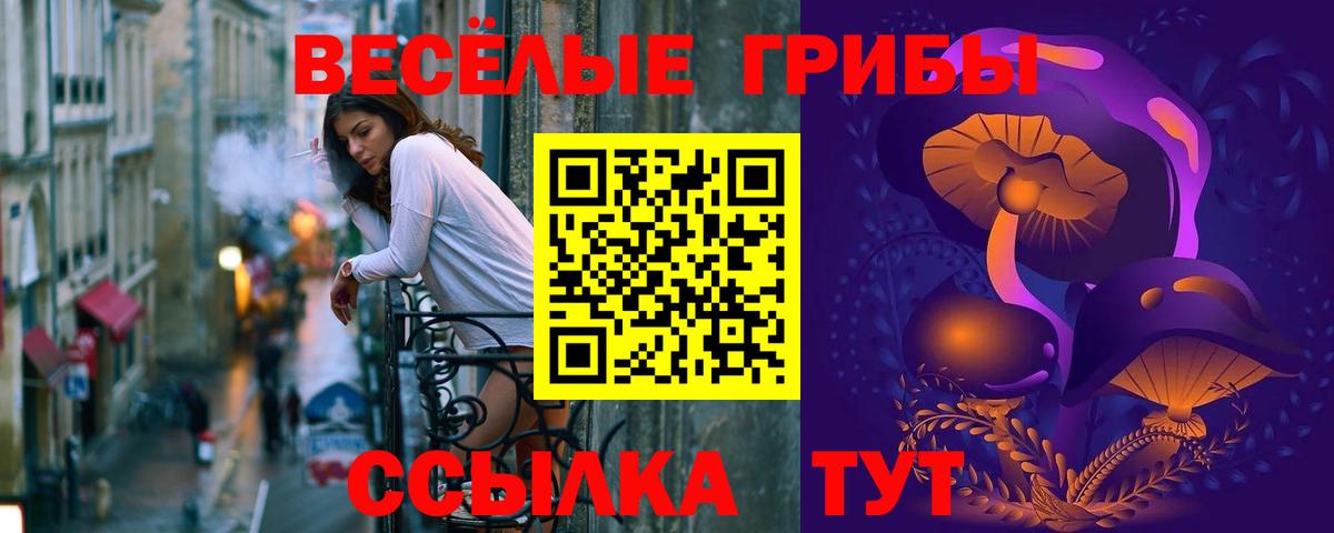 Красногорск  Псилоцибиновые грибы Magic Shrooms  Вход с VPN  Псилоцибиновые грибы MAGIC MUSHROOMS 